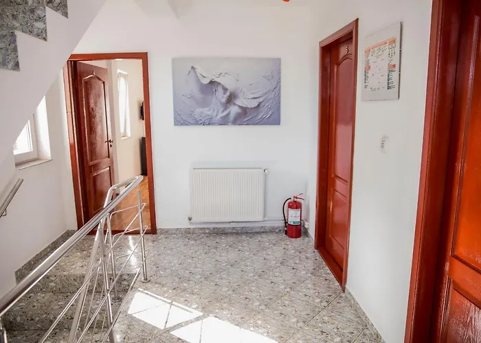 Pensiune Casa Raul 3*