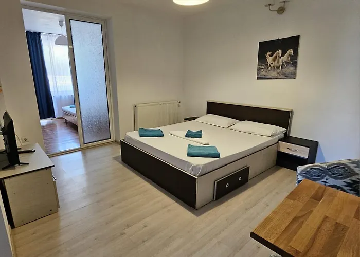 Pensiune Casa Raul 3*