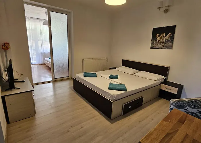 Casa Raul Pensiune 3*